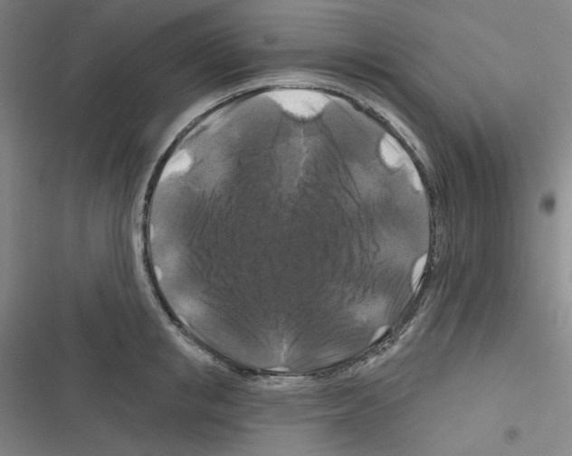 X0000116280853201001111034