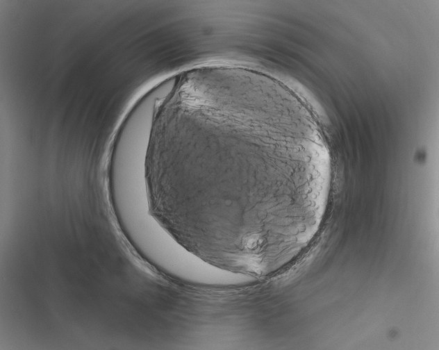 X0000116280854201001111034