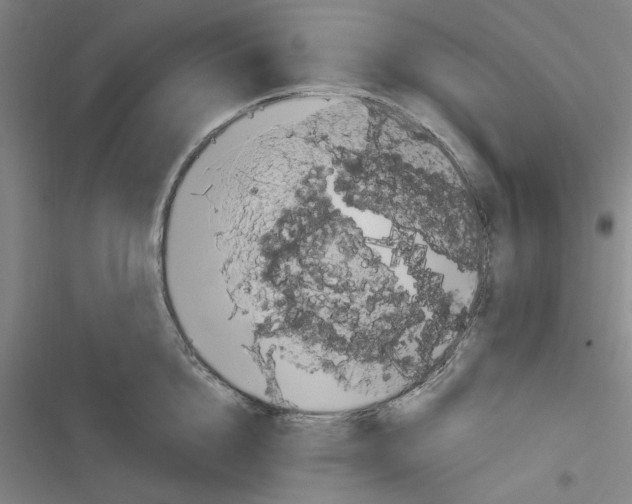 X0000116280856201001111034