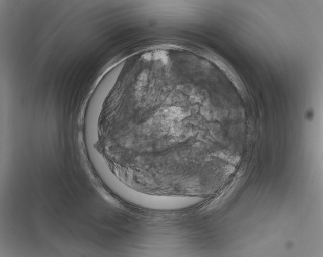 X0000116280858201001111034