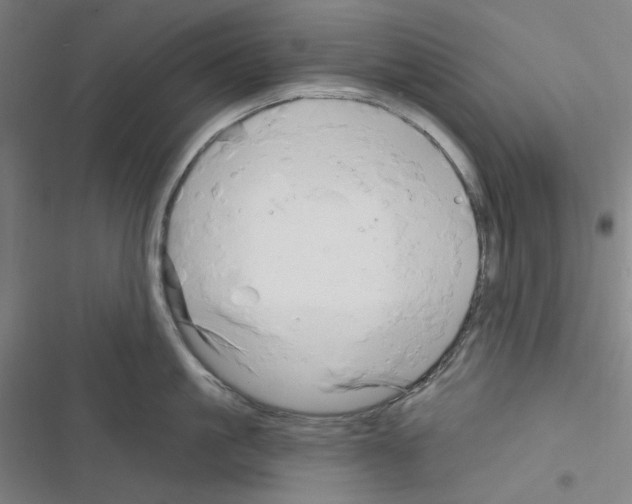 X0000116280861201001111034