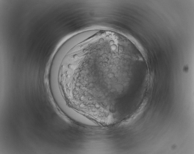 X0000116280862201001111034