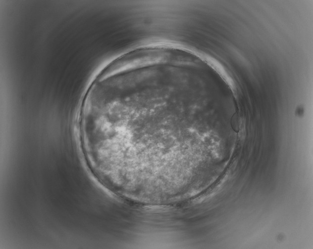 X0000116280863201001111034