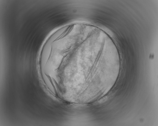 X0000116280864201001111034