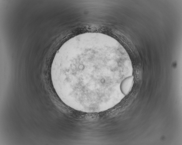X0000116280865201001111033