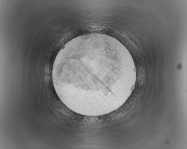 X0000116280866201001111033