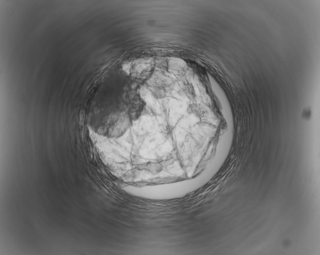 X0000116280867201001111033