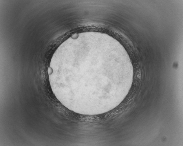 X0000116280869201001111033
