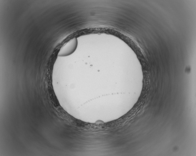 X0000116280871201001111033