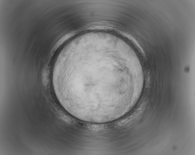 X0000116280874201001111033