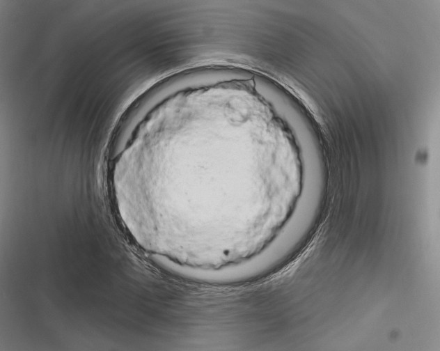 X0000116280877201001111033