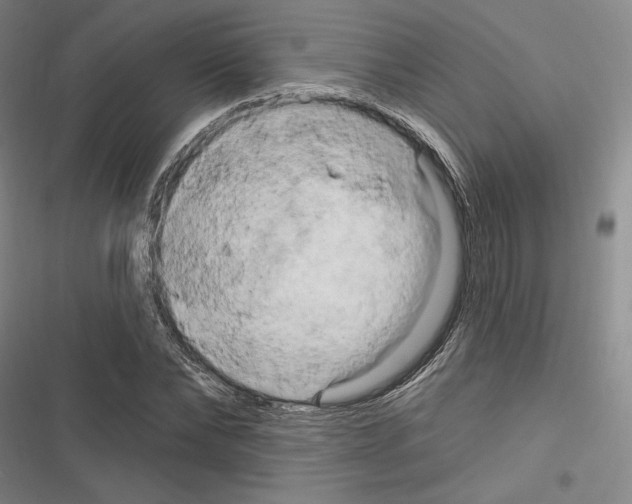 X0000116280878201001111033