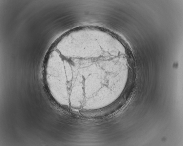 X0000116280879201001111033