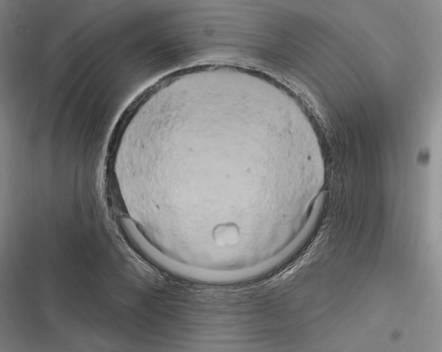 X0000116280880201001111033