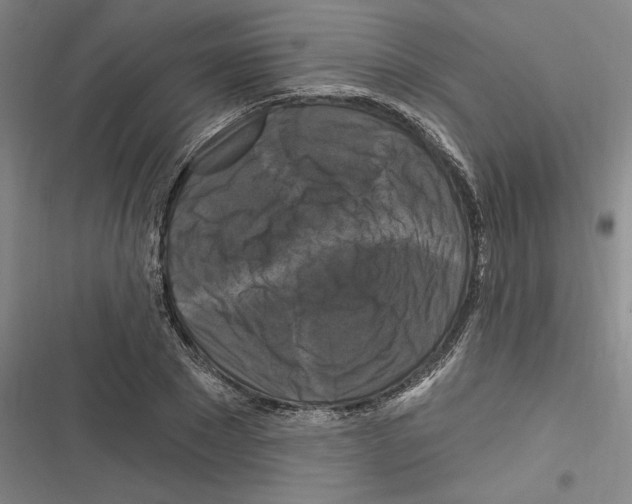 X0000116280881201001111033