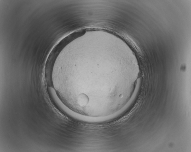 X0000116280884201001111033