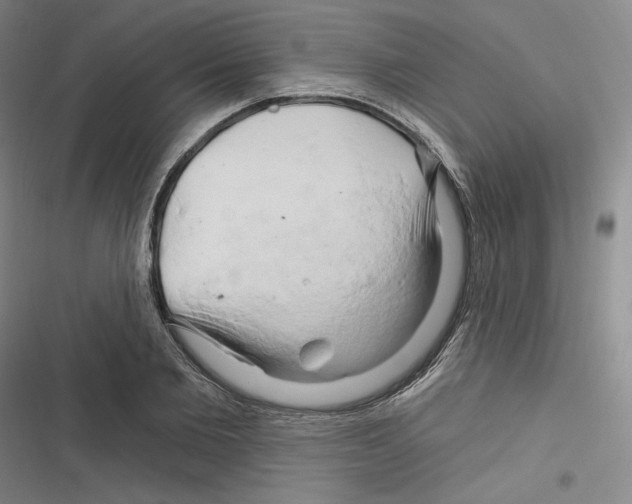 X0000116280885201001111033