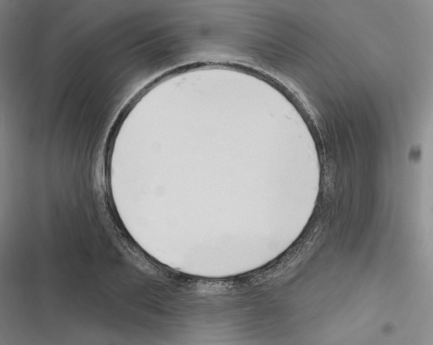 X0000116280887201001111033