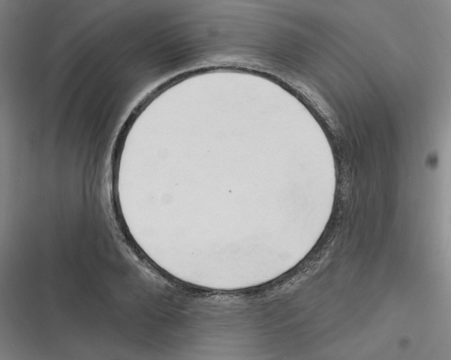 X0000116280888201001111033
