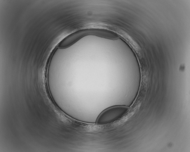 X0000116280893201001111033