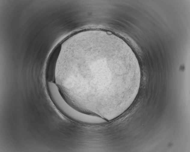 X0000116280894201001111033