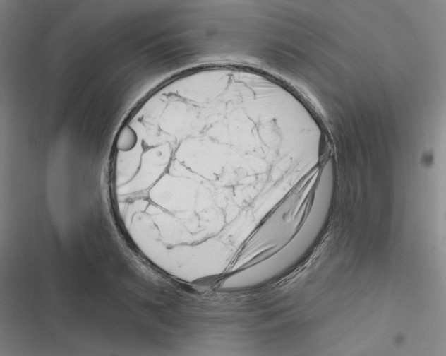 X0000116280895201001111033