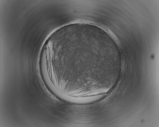 X0000116280896201001111033