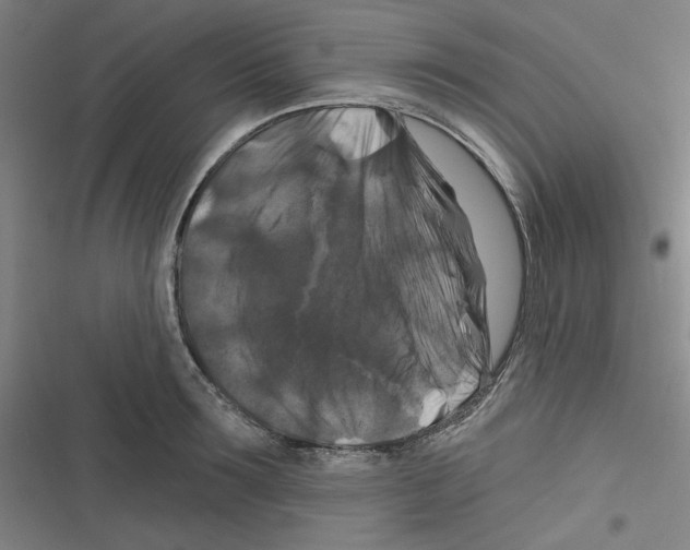 X0000116280899201001111033