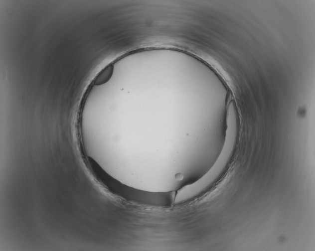 X0000116280901201001111033