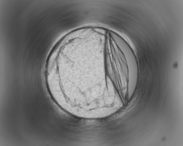 X0000116280903201001111033