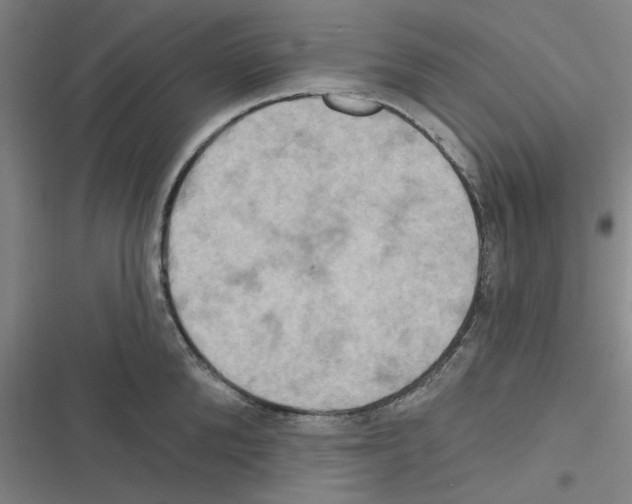 X0000116280904201001111033