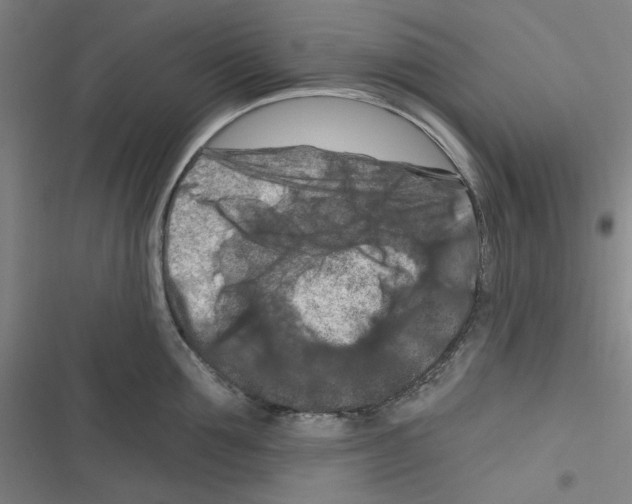 X0000116280907201001111033