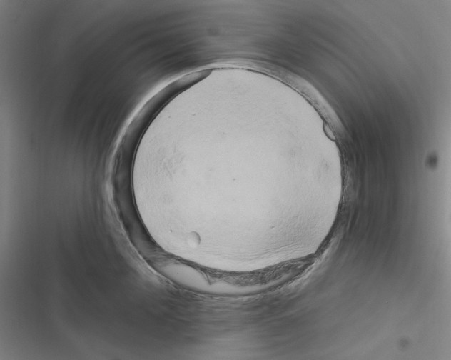 X0000116280908201001111033