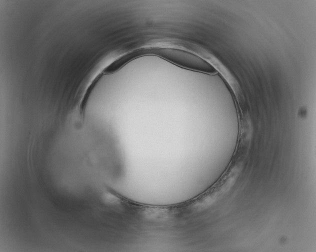 X0000116280909201001111033