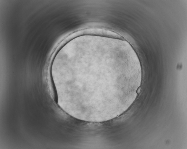 X0000116280912201001111033