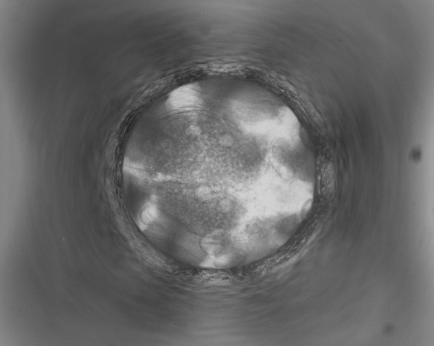 X0000116280913201001111032