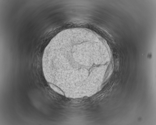 X0000116280917201001111032