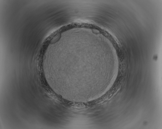 X0000116280919201001111032