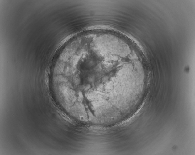 X0000116280921201001111032
