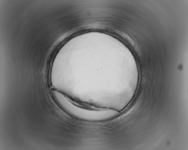 X0000116280922201001111032