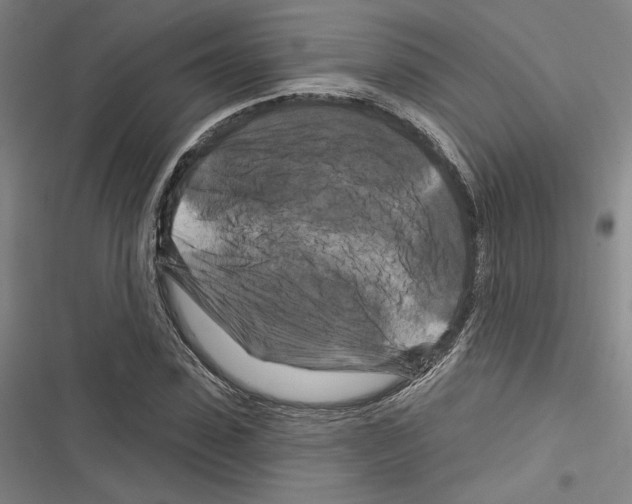 X0000116280923201001111032