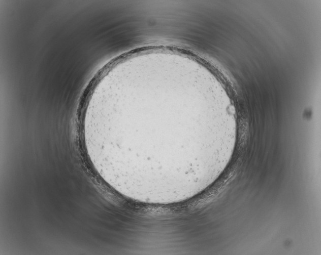 X0000116280927201001111032