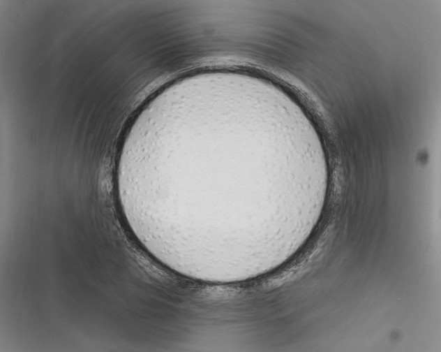 X0000116280929201001111032