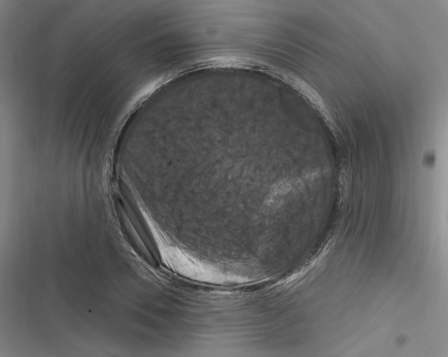 X0000116280930201001111032