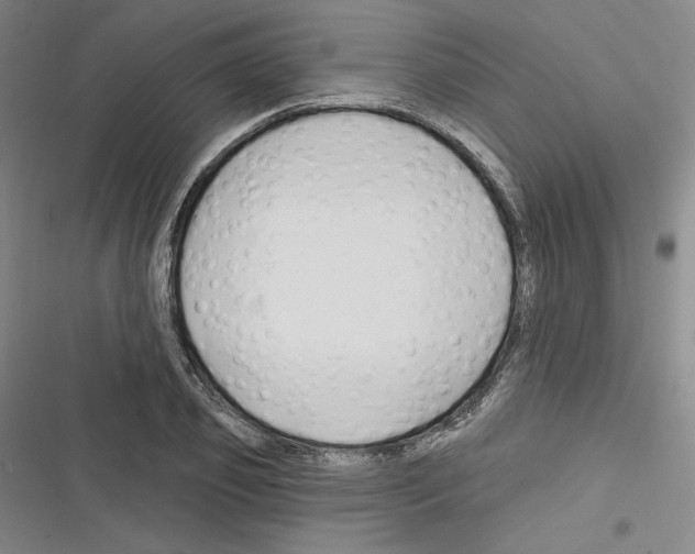 X0000116280933201001111032