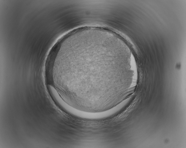 X0000116280935201001111032