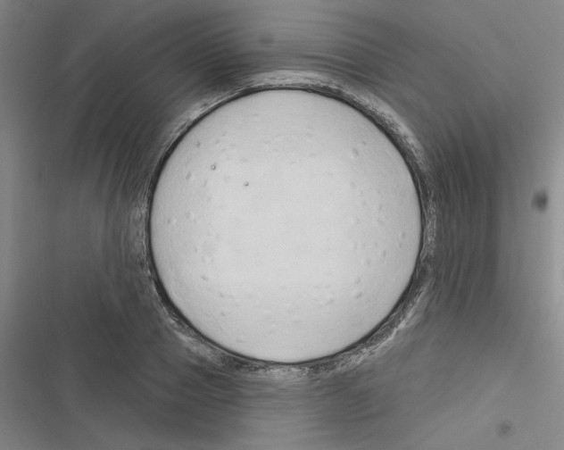 X0000116280937201001111032