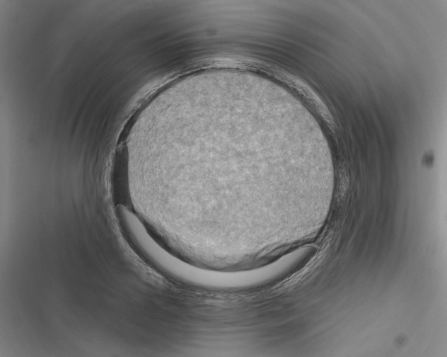 X0000116280938201001111032