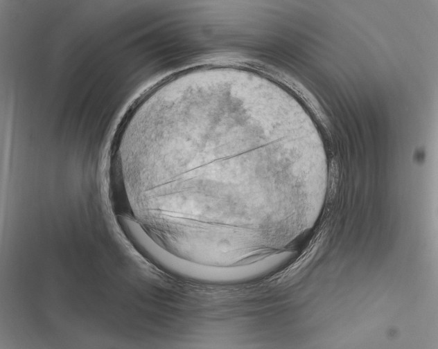 X0000116280939201001111032