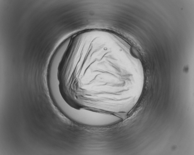 X0000116280942201001111032